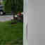 Photos des clients 2 de 2