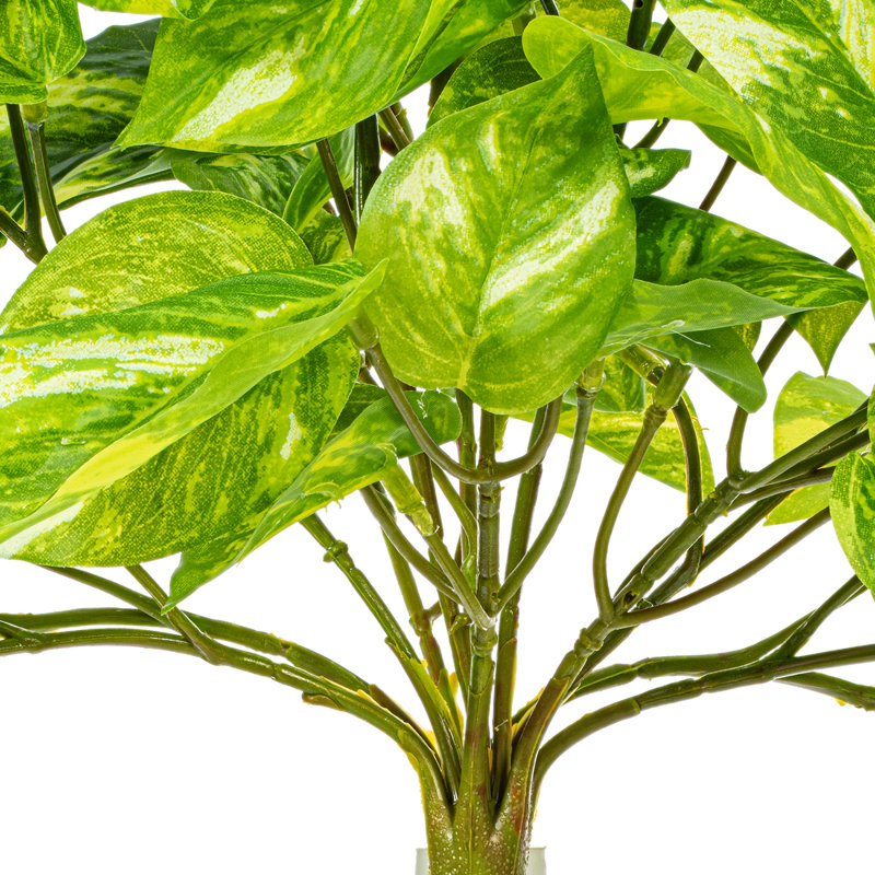 25" Artificial Manjula Pothos Bush