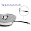 Wok en acier inoxydable antiadhésif avec couvercle Lexi Home Modern Kitchen Basics