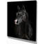 «Black Horse in Darkness», reproduction de photo sur toile tendue-29496064