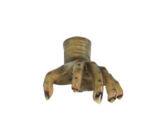 Alynda Graveyard Zombie Hand Life Size Statue