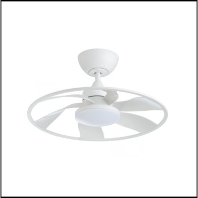Light Pro 22 In. LED Indoor Smart Ceiling Fan With DC Motor