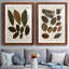 Feuilles d'automne I - ensemble de 2 reproductions d'art-978469100-978469107-984545020