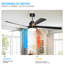 Ventilateur de plafond noir 65 pouces avec lumière, ventilateur à 5 pales à DEL à intensité variable avec télécommande, conception moderne et silencieuse pour le salon et la chambre à coucher (silencieux / 6 vitesses / réversible / moteur à cour