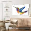 Colibri vif-108841753