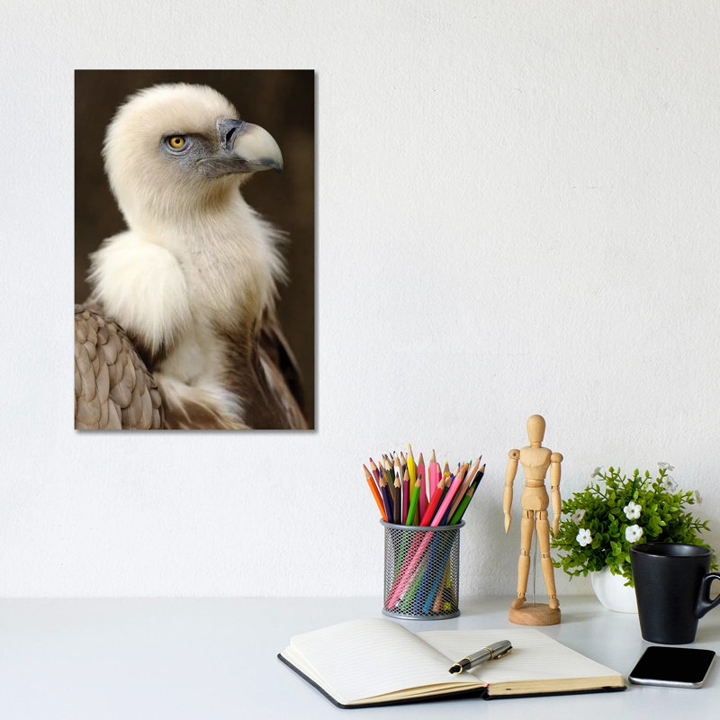 Griffon VI by Goran Anastasovski - Wrapped Canvas Print, 20.32 cm H x 30.48 cm W