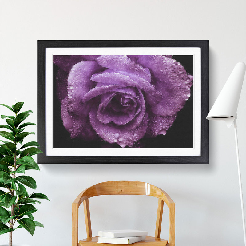 Purple Rose Flower Vol.1 - Framed Print, 27cm H x 36cm W x 2cm D, Black Framed