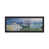 Distressed Black Framed Canvas