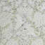 Rouleau de papier peint Laura Ashley Parterre-63814883