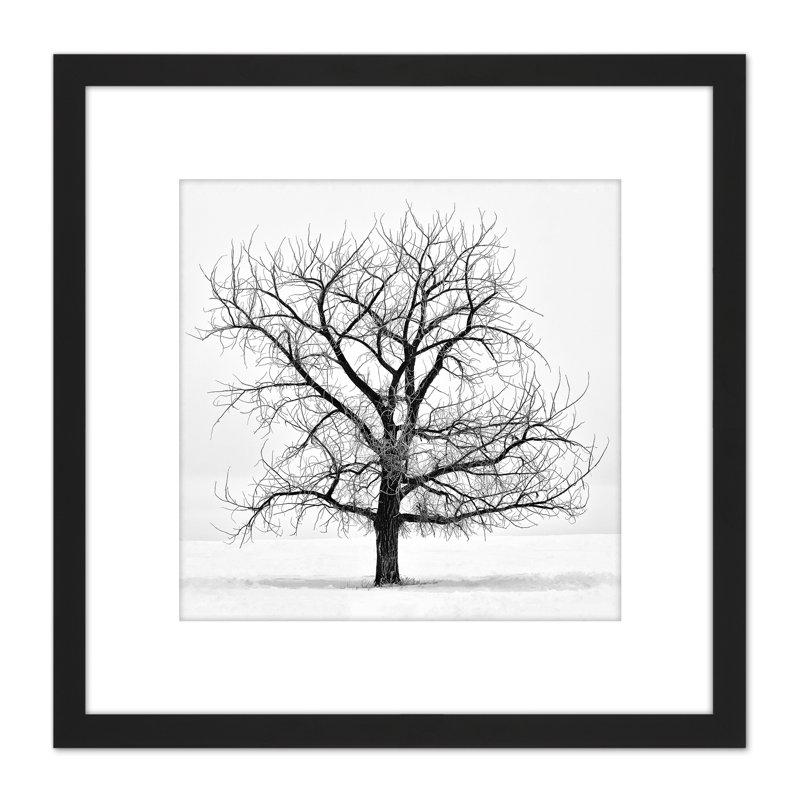 Lone Tree Winter Frost Snow Black White - Single Picture Frame Print