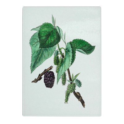 Tempered Glass Black Mulberry Plant Illustration Chopping Board