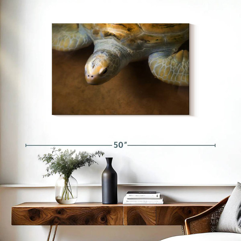 Superbe tortue, H 24 po x l 36 po