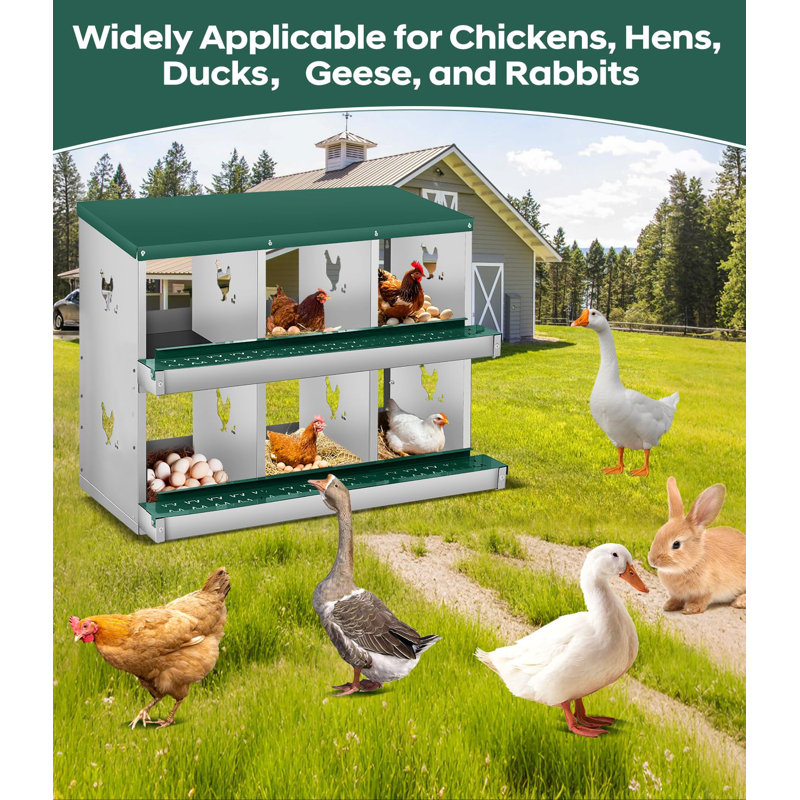 6 Compartment Chicken Nesting Box, Chicken Laying Boxes to Protect Eggs, Easy to Clean & Install, Green