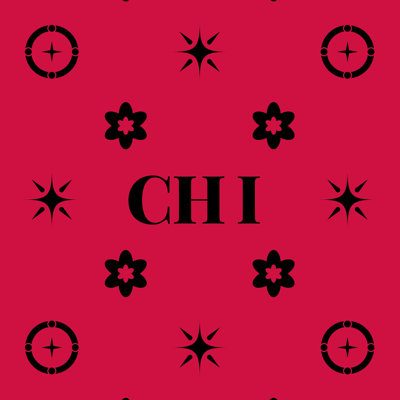 Coussin en coton croisé Chicago