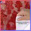 Housses de couette Red Christmas Trees-124117211