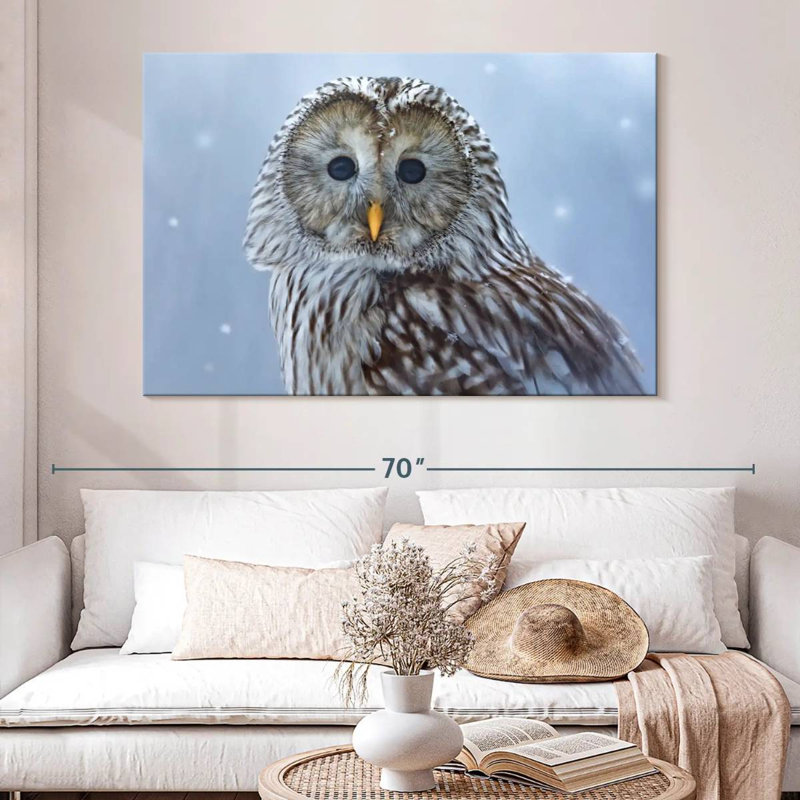 Chouette de l'Oural Brampt dans la neige, H 34 po x l 51 po