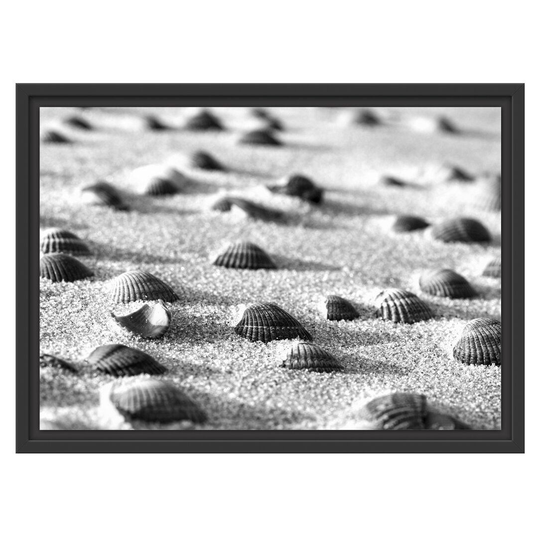 Gerahmtes Wandbild MuschelnSand Kunst B&W