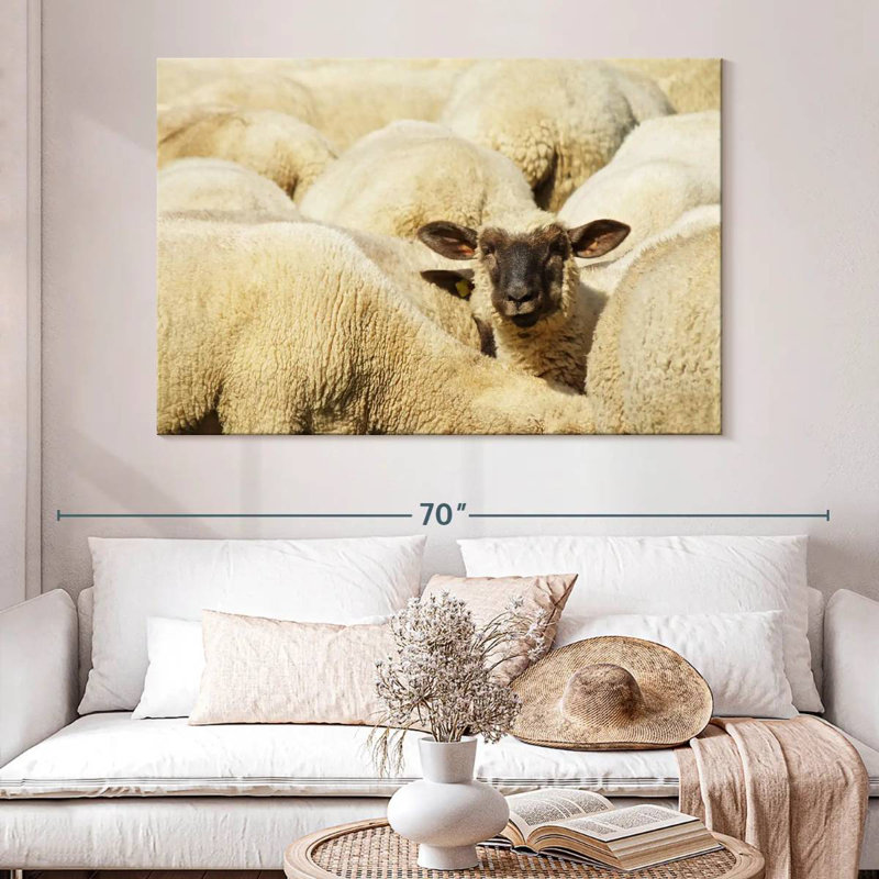 Mouton Brampt