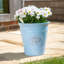 Dinardo Planter-2090435784-2090435789
