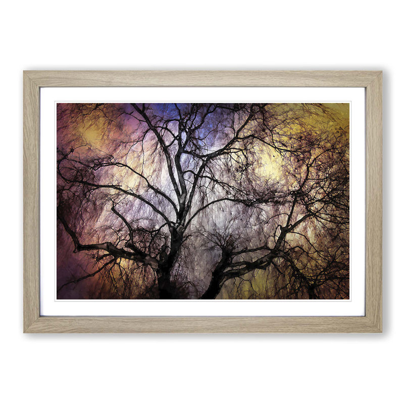 Weeping Willow Tree in Abstract - Picture Frame Graphic Art Print, 40cm H x 60cm W x 2cm D, Oak