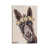 Wrapped Canvas is unavailable
