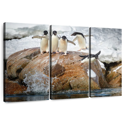 Pingouins bruyants plongeant dans l'eau