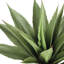Coleman plante artificielle en pot 20 po Coleman