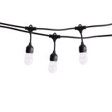 Leonor Outdoor 12 - Bulb 24'' Plug-in LED Globe String Light