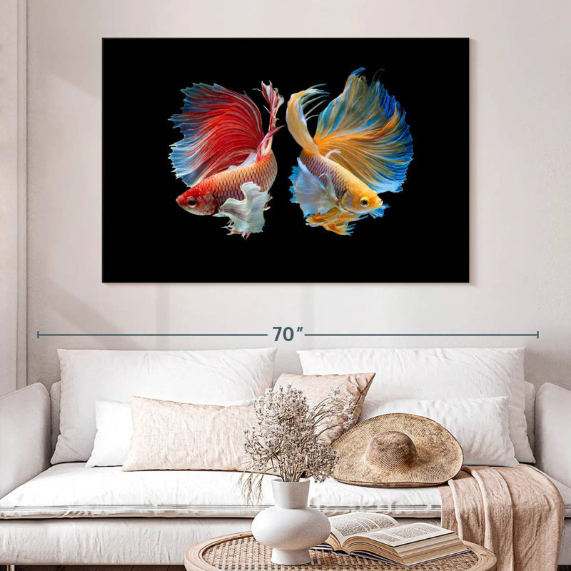 Betta Fish In Sync, H 34 po x l 51 po