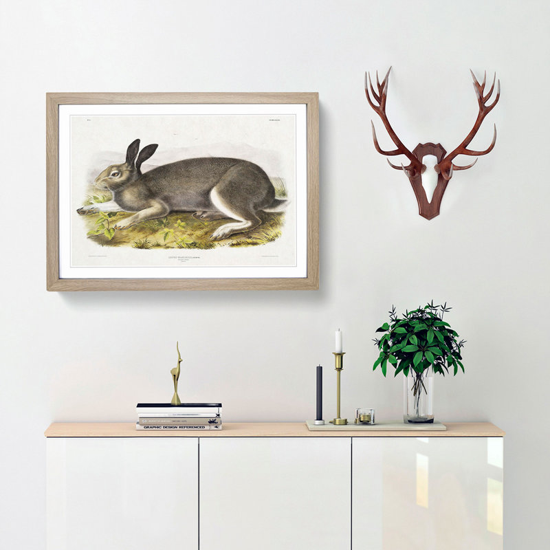 Polar Hare by J.W. Audubon - Picture Frame Painting Print, 48cm H x 65cm W x 2cm D, Oak Framed