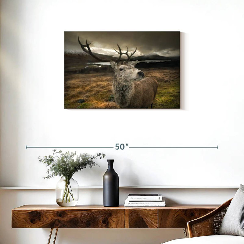 Cerf Bramogène, H 20 po x l 30 po