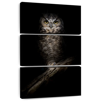 Hibou de nuit Brampt Wise