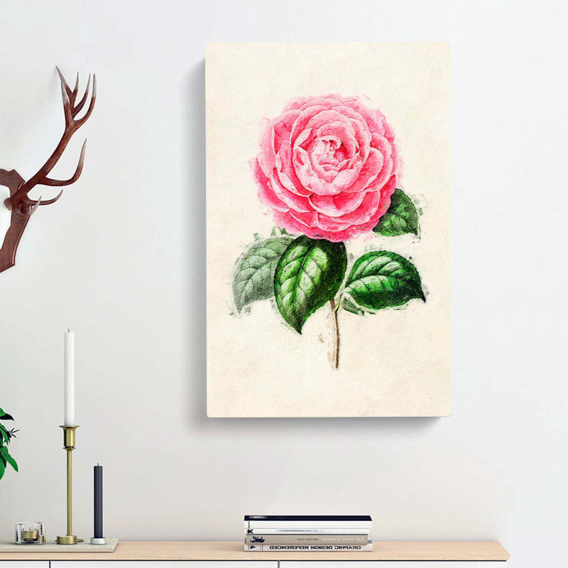 Illustration of a Pink Garden Rose - Wrapped Canvas, 50cm H x 35cm W x 3cm D