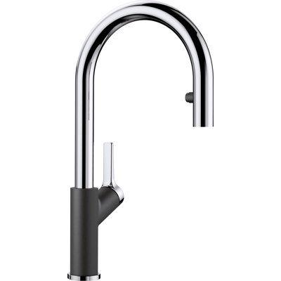 Carena Pull Out Single Lever Monobloc Tap