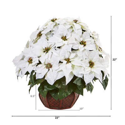 Poinsettia Arrangement in Planter
