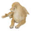 Mère et bébé Labrador