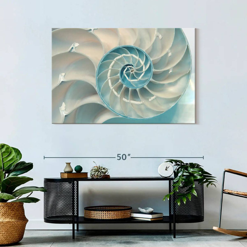 À l'intérieur d'une coquille Nautilus, H 30 po x l 45 po
