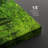 " River Through The Green Forest Nature " 4 - Pieces