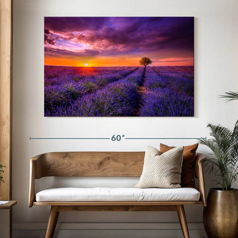 Alvord lavande au coucher du soleil