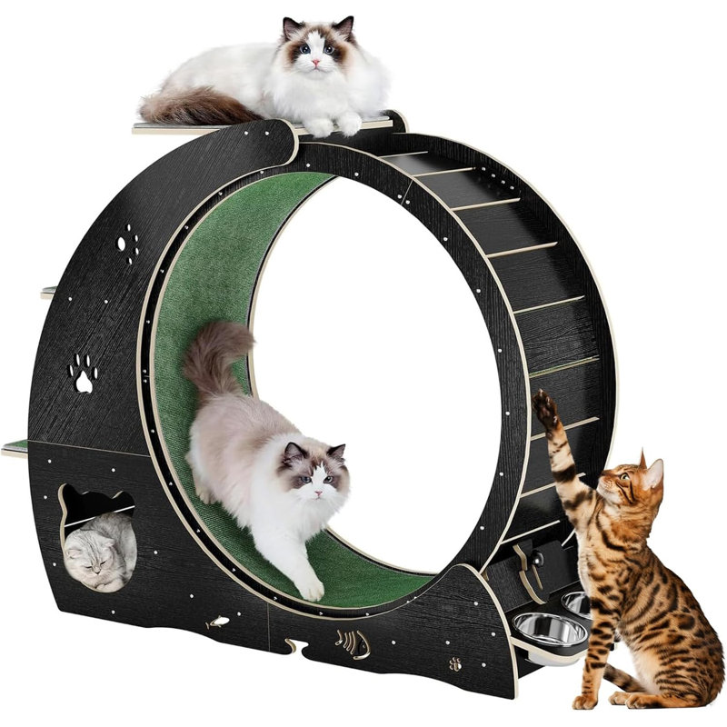 Roue intérieure 4 en 1 pour chat, grande roue silencieuse avec patin à gratter, rouleau de jeu et base en bois stable pour chats actifs