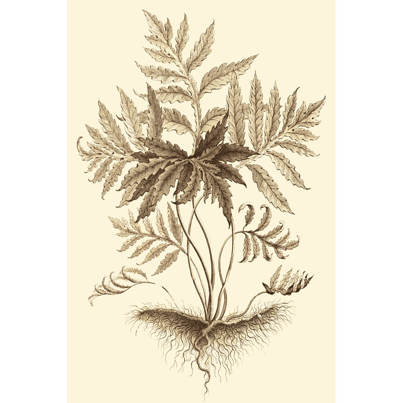 Sepia Munting Foliage IV - Wrapped Canvas Print, 46cm H x 30cm W
