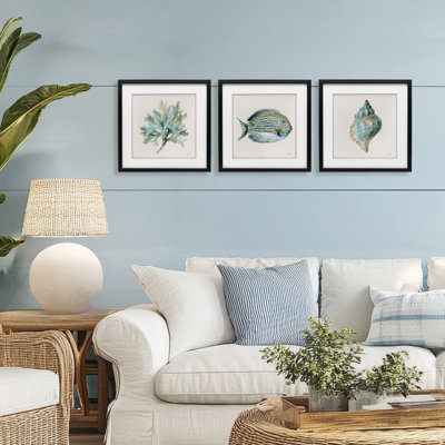 Coastal Bliss Sea Life 3pc Framed Print Under Glass Set, design by Danhui Nai