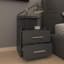 Apalachin 40 cm W Bedside Table