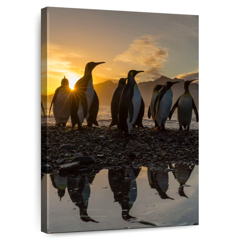 Pingouins au lever du soleil, H 45 po x l 30 po