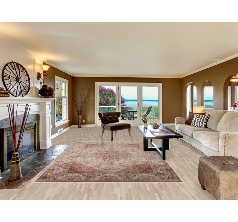 Traditional Oriental Area Rug 7x10