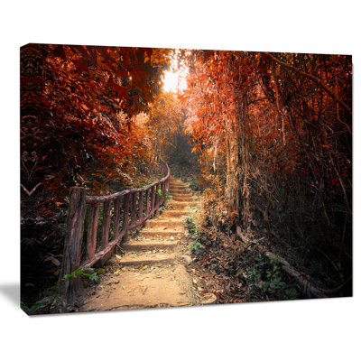 " Stairway Through Red Fall Forest "