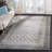Llana Performance Oriental Rug-588406484