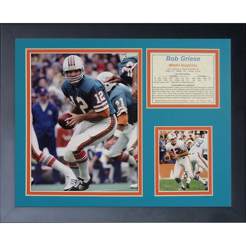 Single Picture Frame Memorabilia