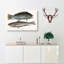 Puddingwife And Whiting Fish by Mark Catesby - Wrapped Canvas-55338626