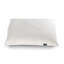 PLA Pillow with Organic Fabric-1297662137